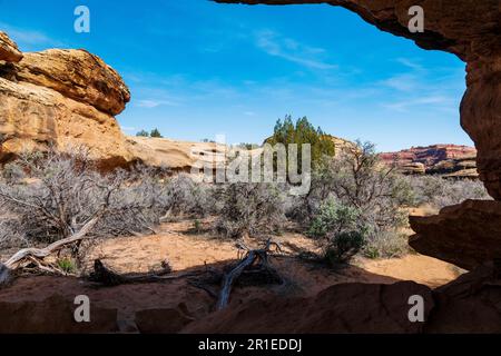 Cave Spring Trail; 1.000 Jahre alte Vorfahren und Cowboy Camp; Canyonlands National Park; Utah; USA Stockfoto