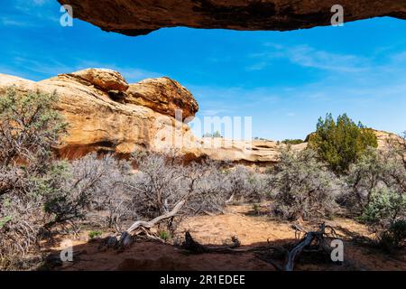 Cave Spring Trail; 1.000 Jahre alte Vorfahren und Cowboy Camp; Canyonlands National Park; Utah; USA Stockfoto