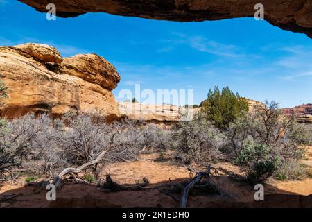 Cave Spring Trail; 1.000 Jahre alte Vorfahren und Cowboy Camp; Canyonlands National Park; Utah; USA Stockfoto