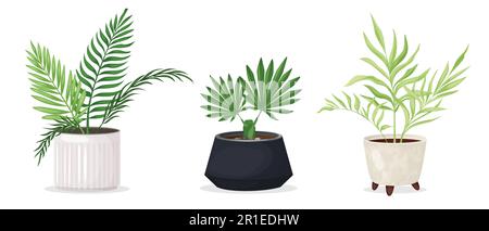 Set aus tropischen Pflanzen in Innenräumen in modischen Töpfen Stock Vektor