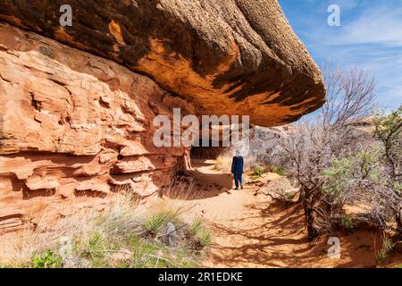 Seniorinnen erkunden den Cave Spring Trail; 1.000 Jahre alte Vorfahren und Cowboy Camp; Canyonlands National Park; Utah; USA Stockfoto