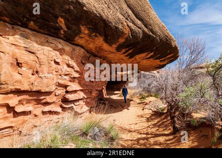 Seniorinnen erkunden den Cave Spring Trail; 1.000 Jahre alte Vorfahren und Cowboy Camp; Canyonlands National Park; Utah; USA Stockfoto