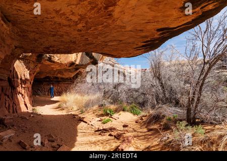 Seniorinnen erkunden den Cave Spring Trail; 1.000 Jahre alte Vorfahren und Cowboy Camp; Canyonlands National Park; Utah; USA Stockfoto