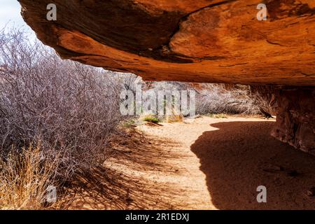 Cave Spring Trail; 1.000 Jahre alte Vorfahren und Cowboy Camp; Canyonlands National Park; Utah; USA Stockfoto