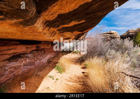 Cave Spring Trail; 1.000 Jahre alte Vorfahren und Cowboy Camp; Canyonlands National Park; Utah; USA Stockfoto