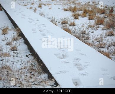 Schneebedeckter Holzsteg zwischen Gras Stockfoto