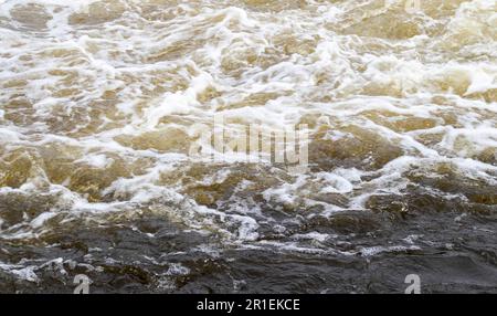 Stromschnellen. Nahaufnahme des abstrakten Hintergrunds von fallendem Wasser. Das Wasser fließt über die Felsen des Flusses. Ein wunderschöner, mächtiger Fluss eines stürmischen Bergflusses. Die Stockfoto