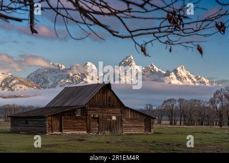 Die T.A Moulton Scheune im Mormon Row Historic District entlang der Antelope Flats mit den Grand Teton Mountains im Grand Teton National Park, Wyoming. Stockfoto