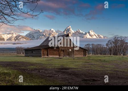 Die T.A Moulton Scheune im Mormon Row Historic District entlang der Antelope Flats mit den Grand Teton Mountains im Grand Teton National Park, Wyoming. Stockfoto