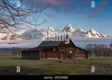 Die T.A Moulton Scheune im Mormon Row Historic District entlang der Antelope Flats mit den Grand Teton Mountains im Grand Teton National Park, Wyoming. Stockfoto