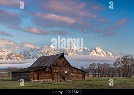 Die T.A Moulton Scheune im Mormon Row Historic District entlang der Antelope Flats mit den Grand Teton Mountains im Grand Teton National Park, Wyoming. Stockfoto