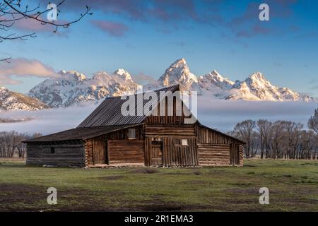 Die T.A Moulton Scheune im Mormon Row Historic District entlang der Antelope Flats mit den Grand Teton Mountains im Grand Teton National Park, Wyoming. Stockfoto