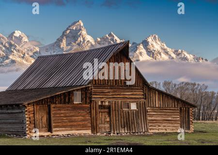 Die T.A Moulton Scheune im Mormon Row Historic District entlang der Antelope Flats mit den Grand Teton Mountains im Grand Teton National Park, Wyoming. Stockfoto