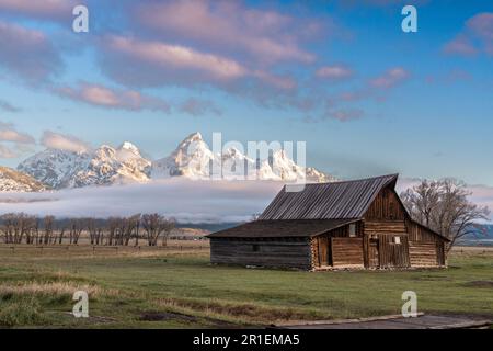 Die T.A Moulton Scheune im Mormon Row Historic District entlang der Antelope Flats mit den Grand Teton Mountains im Grand Teton National Park, Wyoming. Stockfoto