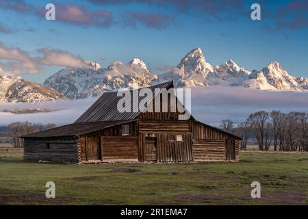 Die T.A Moulton Scheune im Mormon Row Historic District entlang der Antelope Flats mit den Grand Teton Mountains im Grand Teton National Park, Wyoming. Stockfoto