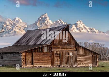 Die T.A Moulton Scheune im Mormon Row Historic District entlang der Antelope Flats mit den Grand Teton Mountains im Grand Teton National Park, Wyoming. Stockfoto