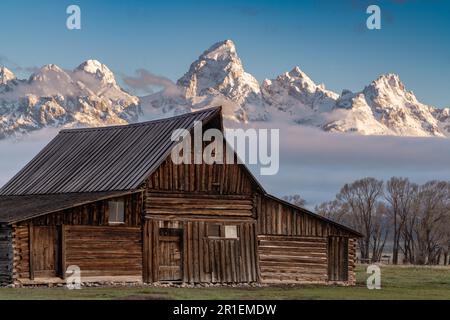 Die T.A Moulton Scheune im Mormon Row Historic District entlang der Antelope Flats mit den Grand Teton Mountains im Grand Teton National Park, Wyoming. Stockfoto