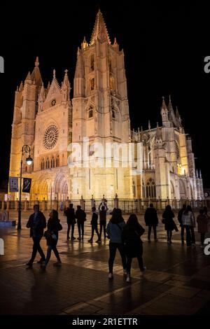 Leon-Kathedrale bei Nacht, Leon, Spanien Stockfoto