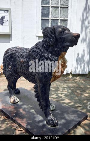Ein verwitterter Metallguss eines Chesapeake Bay Retriever, der im Chesapeake Bay Maritime Museum in St. ausgestellt ist Michaels, Maryland, USA. Stockfoto