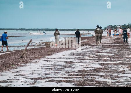Mexikanische Armee und Polizei führen eine Operation an einem Strand in einer touristischen Stadt auf Isla Holbox, Yucatán, Mexiko, durch Stockfoto