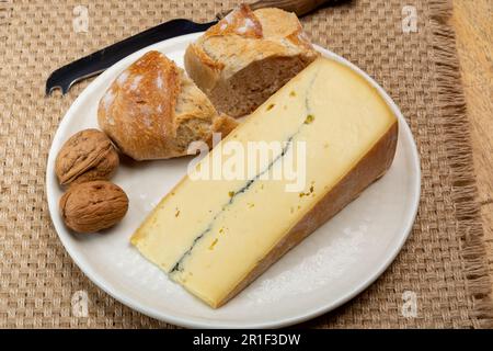 Käsesammlung, halbweicher Kuhmilchkäse von French Morbier mit schwarzer Schimmelschicht Stockfoto