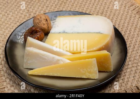 Farbenfroher doppelter holländischer Käse, Hartkäse aus Kuhmilch und Ziegenmilch mit schwarzer Schimmelschicht im Inneren, Nahaufnahme Stockfoto