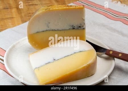 Farbenfroher doppelter holländischer Käse, Hartkäse aus Kuhmilch und Ziegenmilch mit schwarzer Schimmelschicht im Inneren, Nahaufnahme Stockfoto