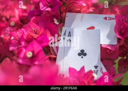 Ass von Clubs, Gold, Bechern, Stöcken und Herzen, mit Blumen im Hintergrund, abstraktes Konzept. Stockfoto