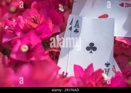 Ass von Clubs, Gold, Bechern, Stöcken und Herzen, mit Blumen im Hintergrund, abstraktes Konzept. Stockfoto