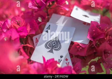 Ass von Clubs, Gold, Bechern, Stöcken und Herzen, mit Blumen im Hintergrund, abstraktes Konzept. Stockfoto