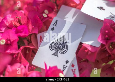 Ass von Clubs, Gold, Bechern, Stöcken und Herzen, mit Blumen im Hintergrund, abstraktes Konzept. Stockfoto