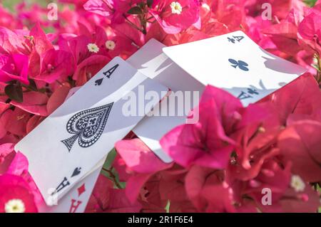 Ass von Clubs, Gold, Bechern, Stöcken und Herzen, mit Blumen im Hintergrund, abstraktes Konzept. Stockfoto