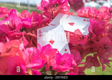 Ass von Clubs, Gold, Bechern, Stöcken und Herzen, mit Blumen im Hintergrund, abstraktes Konzept. Stockfoto