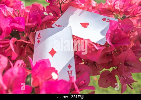 Ass von Clubs, Gold, Bechern, Stöcken und Herzen, mit Blumen im Hintergrund, abstraktes Konzept. Stockfoto