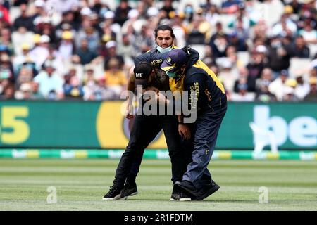 Melbourne, Australien, 26. Dezember 2021. MELBOURNE, AUSTRALIEN - 26. DEZEMBER: Anti-Regierungs-Protestspieler auf dem Melbourne Cricket Ground am 26. Dezember 2021 in Melbourne, Australien, während des Boxing Day Test Match in der Ashes-Serie zwischen Australien und England. (Foto: Dave Hewison/Speed Media) Kredit: Dave Hewison/Speed Media/Alamy Live News/Alamy Live News Stockfoto