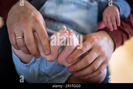 SYMBOL - 10. Mai 2023, Schleswig-Holstein, Groß Grönau: Ein junger Vater spielt mit seinem 6 Monate alten Sohn im Wohnzimmer. Auf 18.05.2023 feiern auch junge Männer den Vatertag. Foto: Jens Büttner/dpa Stockfoto