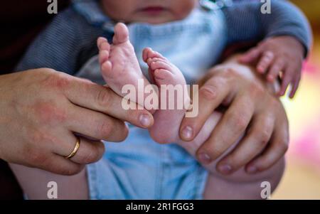 SYMBOL - 10. Mai 2023, Schleswig-Holstein, Groß Grönau: Ein junger Vater spielt mit seinem 6 Monate alten Sohn im Wohnzimmer. Auf 18.05.2023 feiern auch junge Männer den Vatertag. Foto: Jens Büttner/dpa Stockfoto