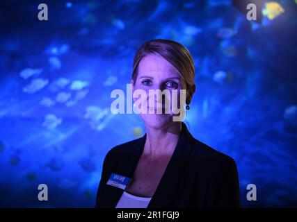 Berlin, Deutschland. 12. Mai 2023. General Manager Anja Nitsch, Bild im Sealife Aquarium. Das Aquarium wird voraussichtlich am 15. Mai 2023 wieder eröffnet. (Zu dpa 'After Burst Aquadome: Sealife Aquarium in Berlin wird wieder geöffnet') Kredit: Soeren Stache/dpa/Alamy Live News Stockfoto