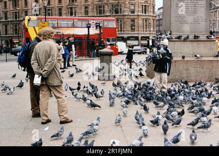 Kinderfütterung von Tauben in London an einem kalten, bewölkten Tag am Trafalger Square oder in der Nähe des Trafalger Square, roter Doppeldeckerbus im Hintergrund ca. 1999 Stockfoto