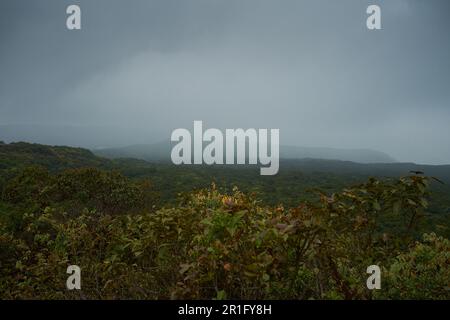 Blick auf die dichten tropischen, feuchten immergrünen Wälder von Mahabaleshwar in Maharashtra, Indien Stockfoto