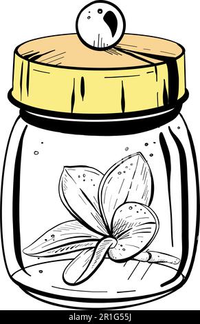 Vektordarstellung eines geschlossenen Glasbehälters mit festem Deckel und Plumeria-Blume im Inneren. Schwarzer Umriss, grafisches Zeichnen in Kurven. Für Postkarten Stock Vektor
