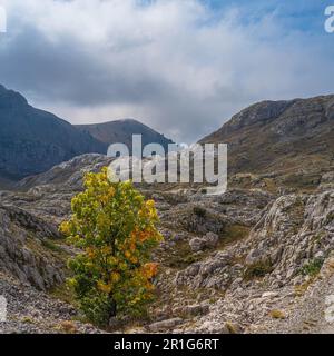 Blick auf die Berge von der ligurischen Grenze Ridge Road, Alta Via del Sale, Route du Marguareis, Italien, Frankreich Stockfoto