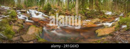 Kleiner Wasserfall, Kalte Bode, Harz, Niedersachsen, Deutschland Stockfoto