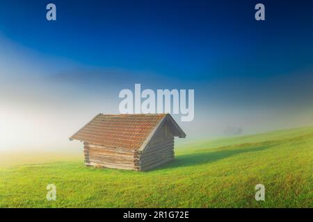 Sonnenaufgang am Wagenbruechsee, Nebel, Geroldsee, Gerold, Klais, Kruen, Garmisch-Partenkirchen, Bayern, Deutschland Stockfoto
