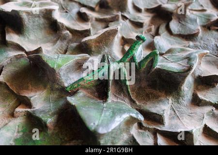 Details von Blättern und Insekten an der Tür der Sagrada Familia, Barcelona, Spanien. Stockfoto