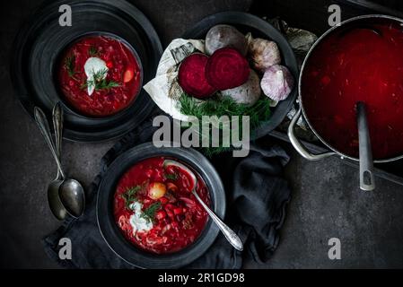 Traditionelle osteuropäische Rote-Bete-Suppe Borscht serviert mit Dill und saurer Sahne Stockfoto