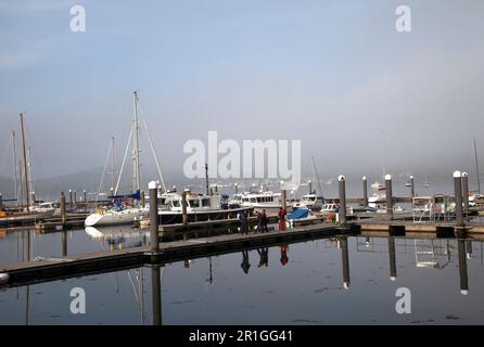 Yachten in Rhu Marina im frühen Morgenlicht, Schottland mit Reflexionen und Nebel. Stockfoto