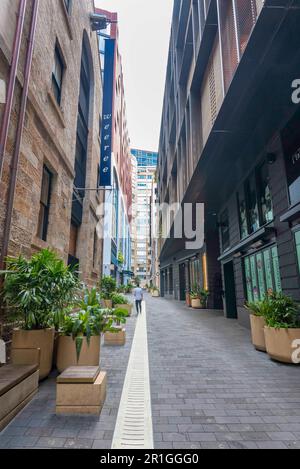 Große Töpfe und Kartoffeln tragen zur grünen Loftus Lane bei, die Teil des neuen Quay Quarter in der Nähe des Circular Quay in Sydney City, Australien ist Stockfoto