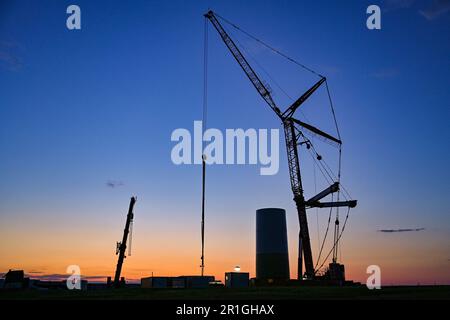 Seelow, Deutschland. 13. Mai 2023. Ein Mast für eine Windturbine und Baukräne sind nach Sonnenuntergang auf einem Feld zu sehen. Nach Angaben des Bundesverbands WindEnergie e.V. (Deutscher Windenergieverband) liegt der Bundesstaat Brandenburg an zweiter Stelle unter den Bundesländern mit der größten installierten Kapazität von Windkraftanlagen. Somit wird etwa ein Drittel des Strombedarfs aus Windenergie erzeugt. Mit über 7.864 MW (Megawatt) der installierten Gesamtleistung liegt Brandenburg heute nach Niedersachsen an zweiter Stelle. Kredit: Patrick Pleul/dpa/Alamy Live News Stockfoto