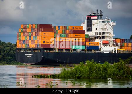 Landschaft des Panamakanals mit dem Containerschiff NYK Remus auf dem Weg durch den Panamakanal in Richtung Karibik, Republik Panama. Stockfoto